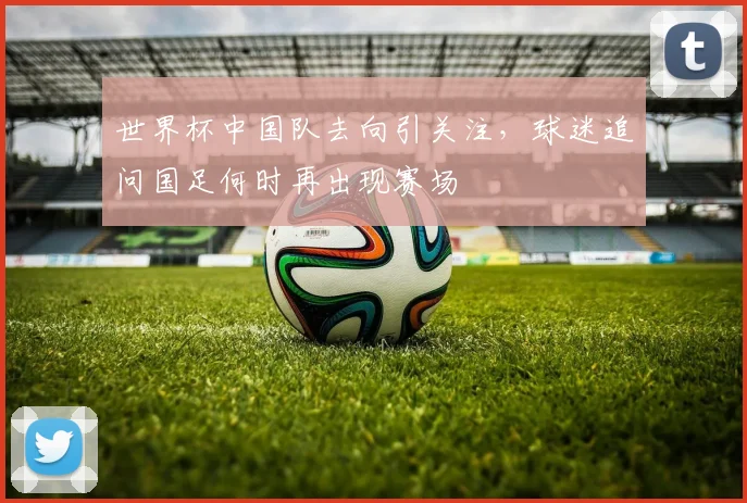 世界杯中国队去向引关注，球迷追问国足何时再出现赛场