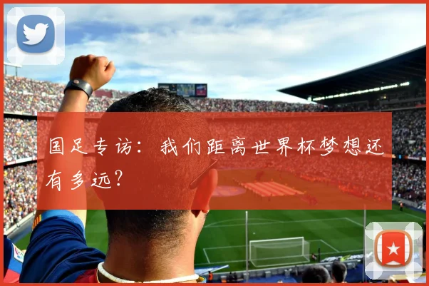 国足专访：我们距离世界杯梦想还有多远？
